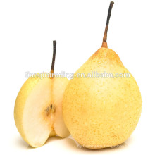 fresh ya pear&new crop&the most lowest price